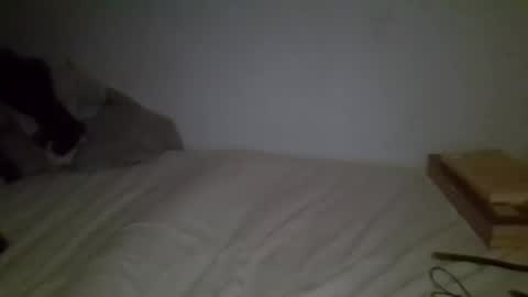 Snapshot of cunty_l0ve chatting on 05-10-26, 04:06 cunty_l0ve online show from 05-10-26, 04:06