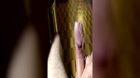 Snapshot of curicat69 chatting on 06-21-26, 08:28 curicat69 online show from 06-21-26, 08:28