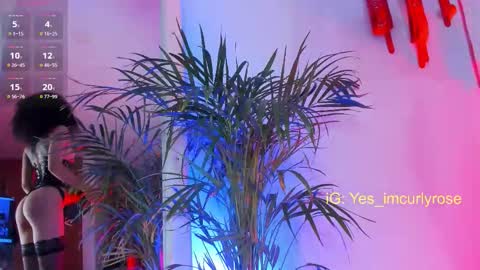 Rose online show from 11-22-25, 10:20