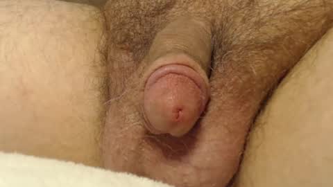 curve66 online show from 10-16-25, 12:55