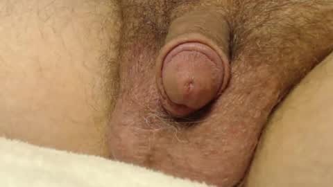 curve66 online show from 10-22-25, 01:06