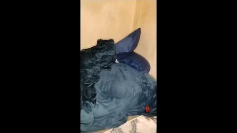 Snapshot of curvylucifinaxxx chatting on 01-11-26, 05:12 Lucifina ganja kittens online show from 01-11-26, 05:12