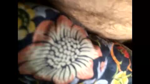 Steve online show from 01-20-25, 07:04