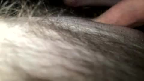 Steve online show from 01-28-25, 04:18