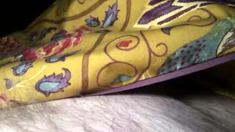 Steve online show from 02-10-25, 11:34