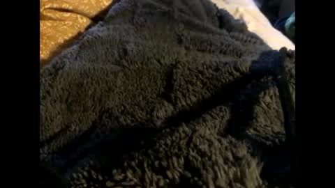 Steve online show from 03-02-25, 12:54