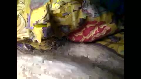 Steve online show from 03-04-25, 06:37