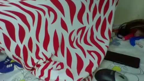love online show from 10-20-25, 04:57