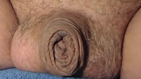 cute_stud1010 online show from 02-08-26, 04:32