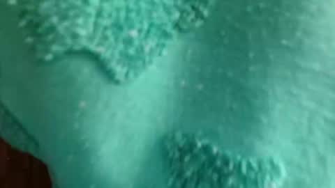 cutebuu online show from 11-21-25, 08:51