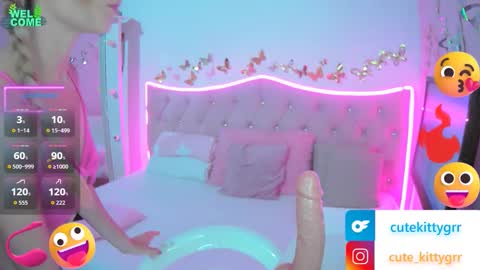 Kitty online show from 02-18-26, 11:55