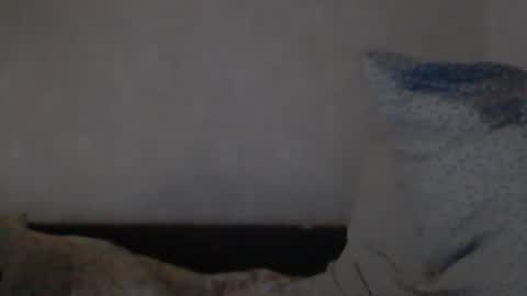 cutekattie online show from 12-08-24, 09:24