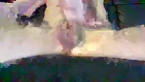 Snapshot of cwaddle chatting on 02-16-25, 03:48 cwaddle online show from 02-16-25, 03:48