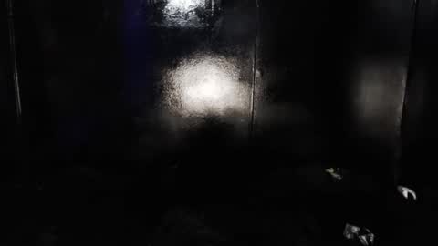 Snapshot of cybertrouble_ chatting on 05-15-26, 11:56 Nikki online show from 05-15-26, 11:56