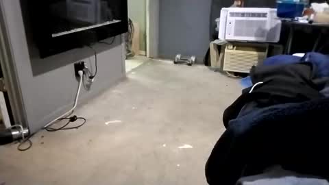 Snapshot of da941987 chatting on 12-02-24, 05:48 da941987 online show from 12-02-24, 05:48