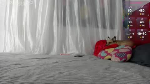 Snapshot of daani_hott chatting on 01-09-26, 04:15 daani_hott online show from 01-09-26, 04:15