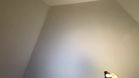 dachdecker7269 online show from 02-09-26, 05:11