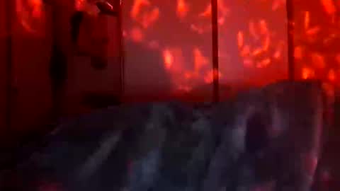 Daddett iS Wett online show from 12-18-25, 09:48