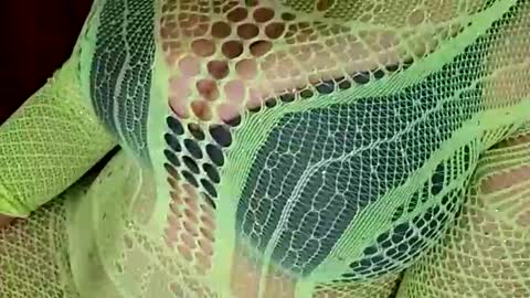 Daddett iS Wett online show from 03-31-26, 08:15