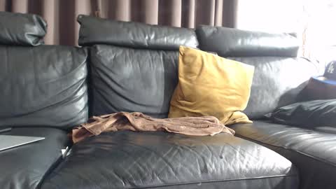 Snapshot of daddy6969xxxx chatting on 02-08-25, 07:15 daddy6969xxxx online show from 02-08-25, 07:15