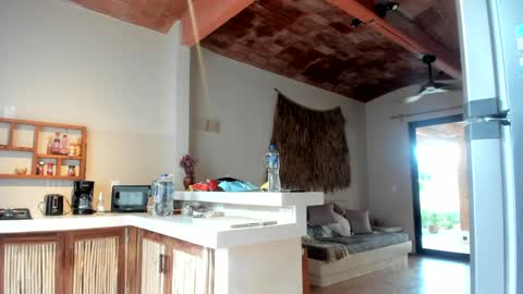 Snapshot of daddy_daycare_ chatting on 03-11-25, 01:45 Belle Email daddydaycarecb online show from 03-11-25, 01:45