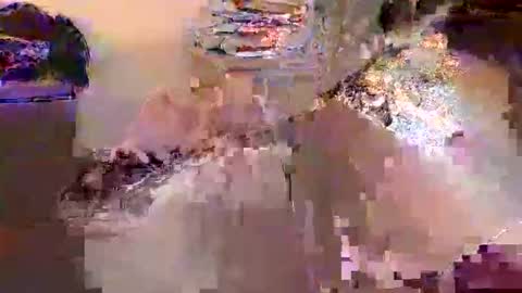 Snapshot of dafo1980 chatting on 04-17-26, 12:30 dafo1980 online show from 04-17-26, 12:30