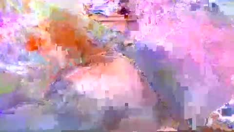 Snapshot of dafo1980 chatting on 04-20-26, 12:19 dafo1980 online show from 04-20-26, 12:19