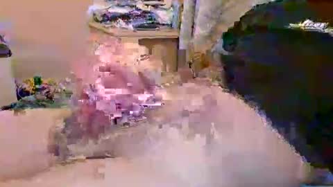 Snapshot of dafo1980 chatting on 04-23-26, 10:14 dafo1980 online show from 04-23-26, 10:14