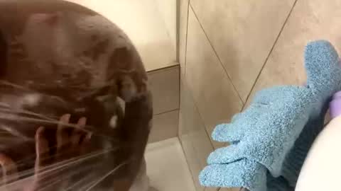 dafoxxx876 online show from 11-24-25, 08:03