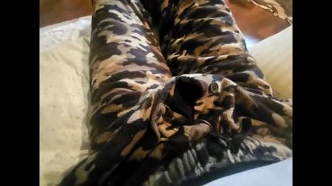 DailyJerker84 online show from 11-23-25, 05:46