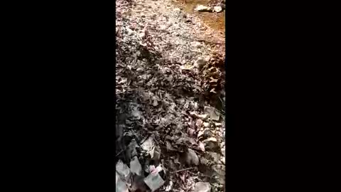 Snapshot of dairoldi chatting on 03-21-26, 08:12 dairoldi online show from 03-21-26, 08:12