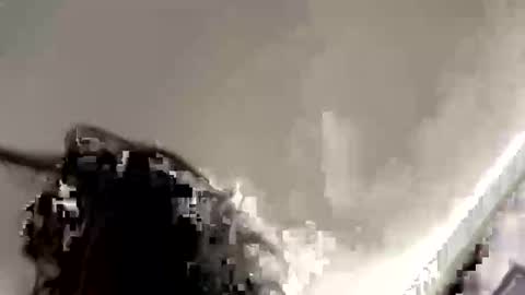 Snapshot of daisy0uo chatting on 10-10-25, 04:44 Cc online show from 10-10-25, 04:44