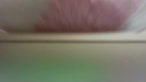 Daisy online show from 03-19-26, 11:36