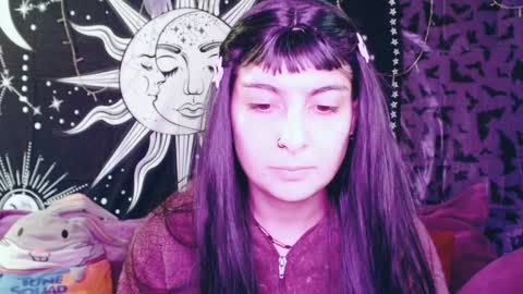 Snapshot of dak_7 chatting on 12-12-24, 10:42 -- -- help me reach 100 hands up online show from 12-12-24, 10:42