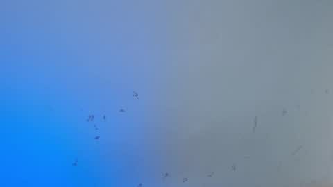 VALENTINA  online show from 10-15-25, 08:03