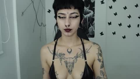 Snapshot of dakota_krall_ chatting on 01-25-25, 07:17 dakota online show from 01-25-25, 07:17