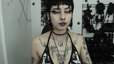 Snapshot of dakota_krall_ chatting on 11-12-25, 02:12 dakota online show from 11-12-25, 02:12