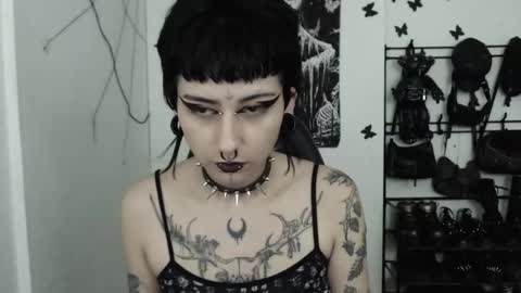 Snapshot of dakota_krall_ chatting on 11-22-25, 04:33 dakota online show from 11-22-25, 04:33