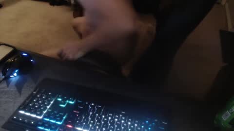 Dakota online show from 09-14-25, 11:53