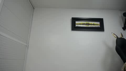 dalia dubey online show from 02-17-25, 04:15