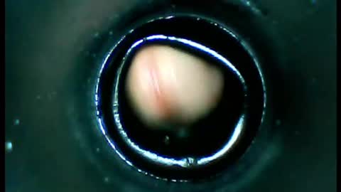 Snapshot of damdam44 chatting on 01-13-25, 04:51 damdam44 online show from 01-13-25, 04:51