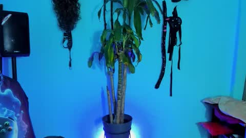 Damian torner online show from 10-28-25, 07:56