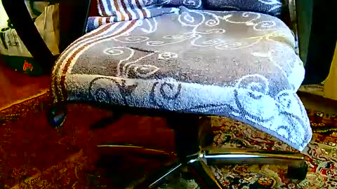 Snapshot of dammerl6 chatting on 01-23-25, 01:24 Dammerl online show from 01-23-25, 01:24