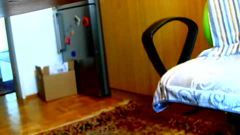 Snapshot of dammerl6 chatting on 02-03-25, 07:40 Dammerl online show from 02-03-25, 07:40