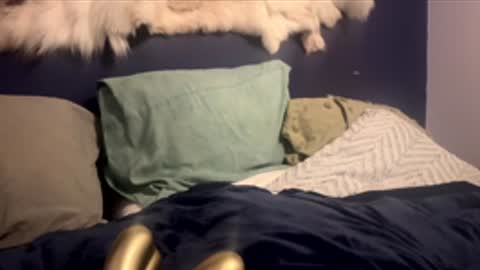 Snapshot of damontsi chatting on 02-24-26, 02:48 damontsi online show from 02-24-26, 02:48