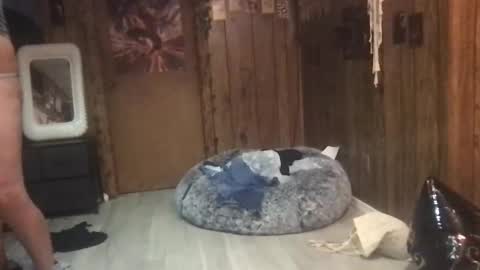 Snapshot of danamaris666 chatting on 09-25-25, 07:28 DanaMaris666 online show from 09-25-25, 07:28