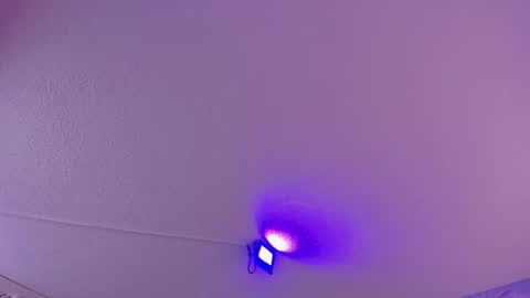 Snapshot of danee_19 chatting on 03-11-25, 10:51 Daniela online show from 03-11-25, 10:51