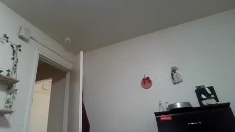 Snapshot of dani_alaska chatting on 02-24-25, 01:53 Dani online show from 02-24-25, 01:53