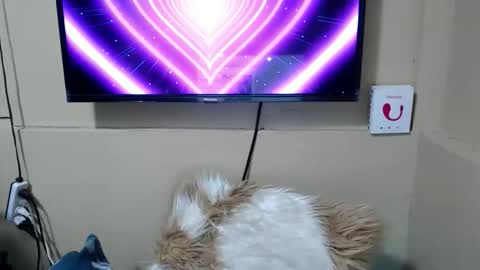 Danica online show from 12-15-25, 03:44