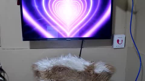 Danica online show from 05-15-26, 11:23